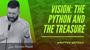 VISION: THE PYTHON AND THE TREASURE